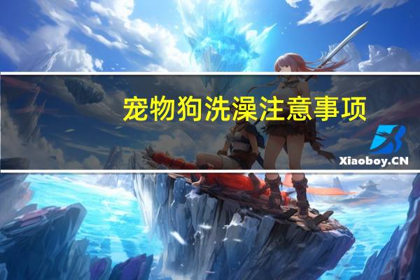 宠物狗洗澡注意事项