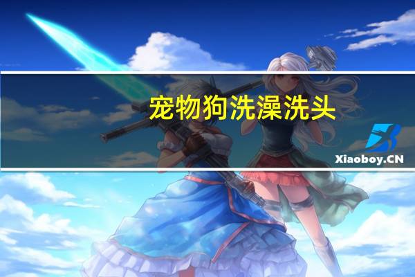宠物狗洗澡洗头
