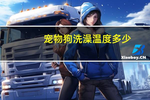 宠物狗洗澡温度多少