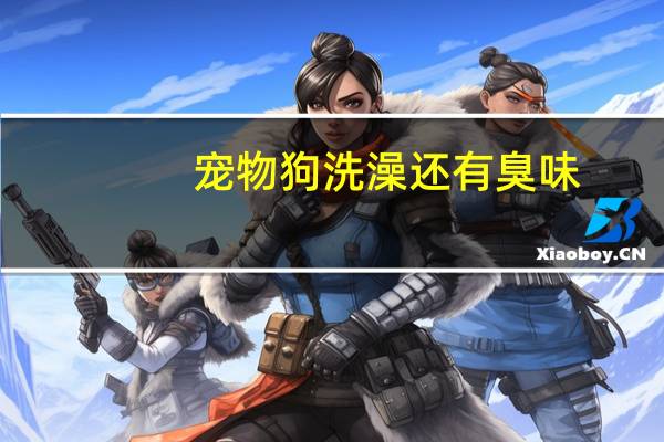 宠物狗洗澡还有臭味