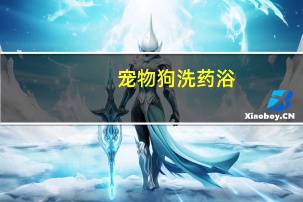 宠物狗洗药浴