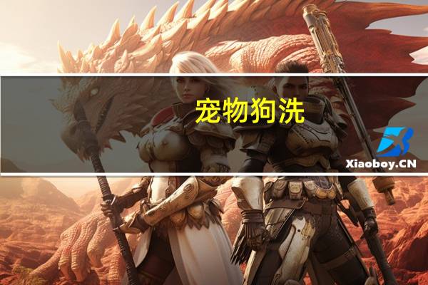 宠物狗洗