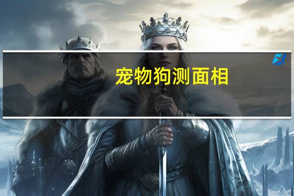 宠物狗测面相
