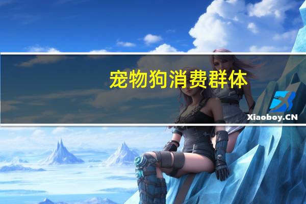 宠物狗消费群体