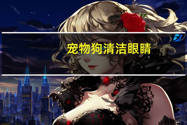 宠物狗清洁眼睛