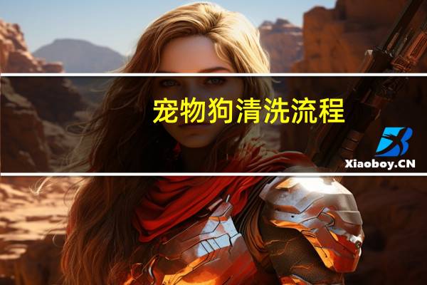宠物狗清洗流程