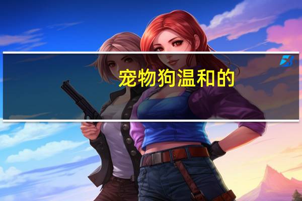 宠物狗温和的