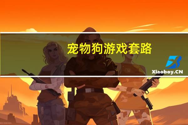 宠物狗游戏套路