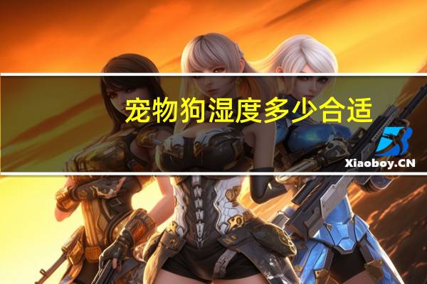 宠物狗湿度多少合适