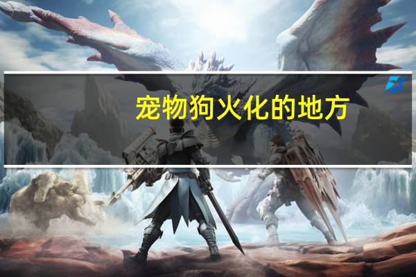 宠物狗火化的地方