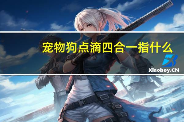 宠物狗点滴四合一指什么