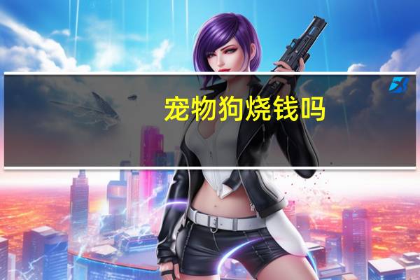 宠物狗烧钱吗