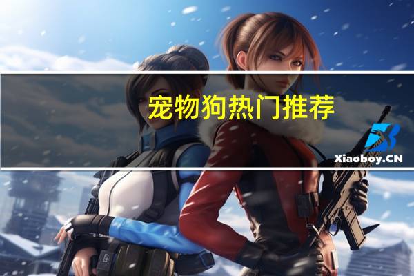 宠物狗热门推荐
