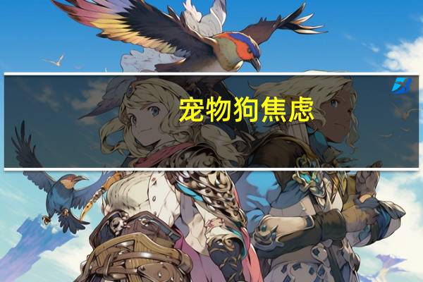 宠物狗焦虑