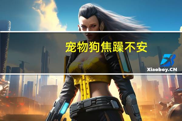 宠物狗焦躁不安