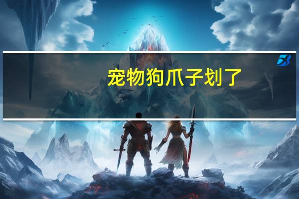 宠物狗爪子划了