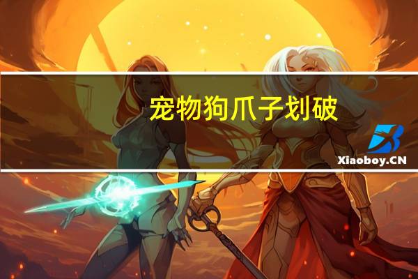 宠物狗爪子划破