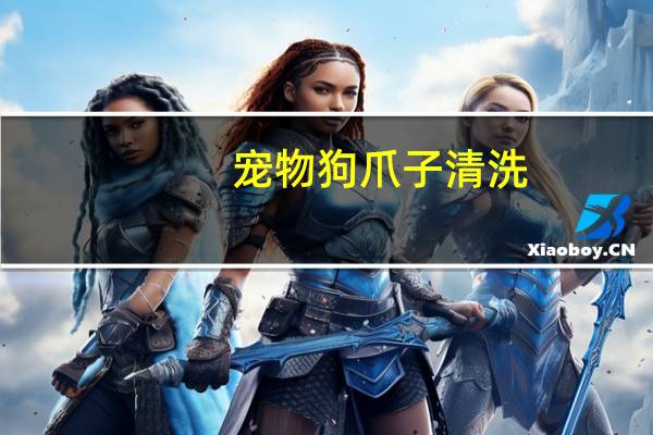 宠物狗爪子清洗