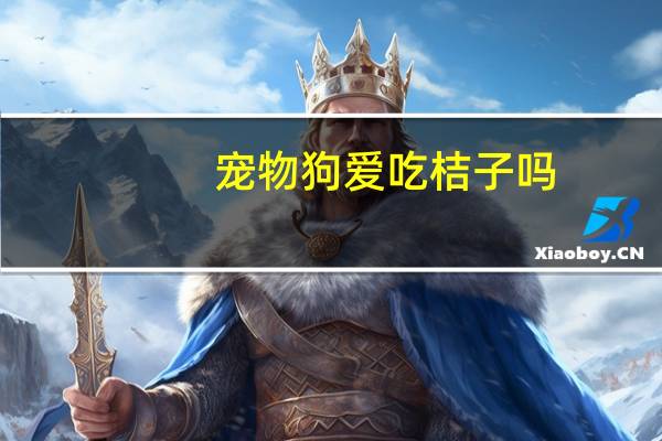 宠物狗爱吃桔子吗