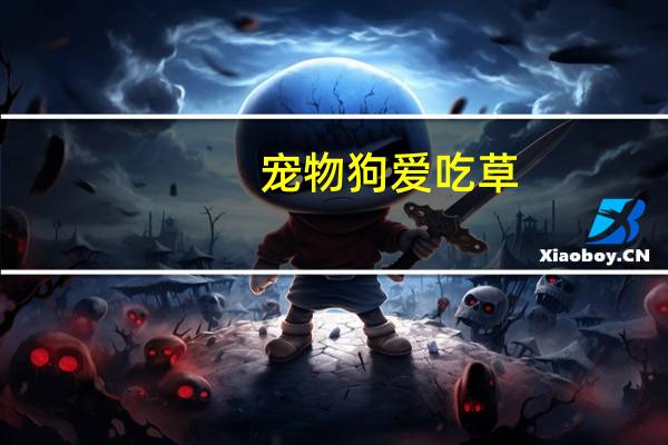 宠物狗爱吃草