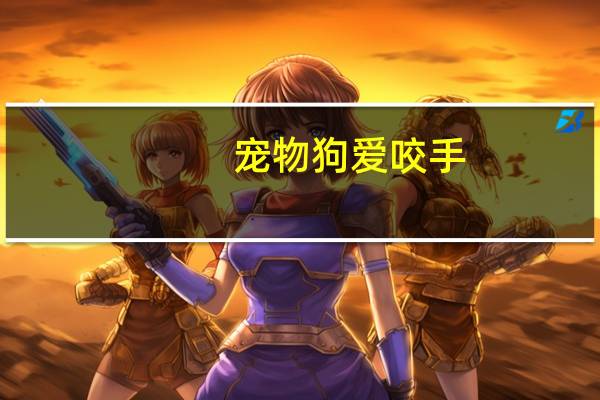 宠物狗爱咬手