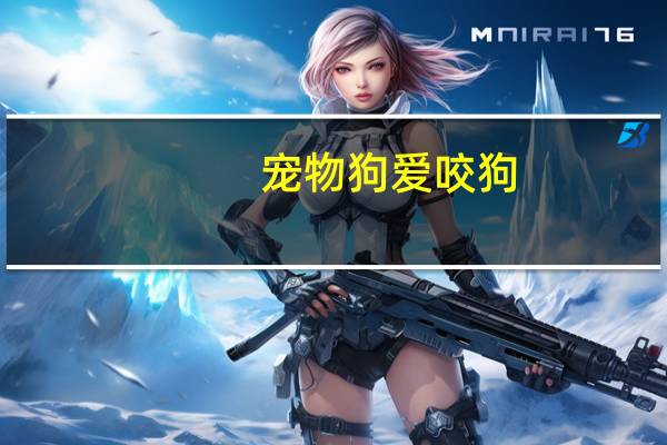 宠物狗爱咬狗