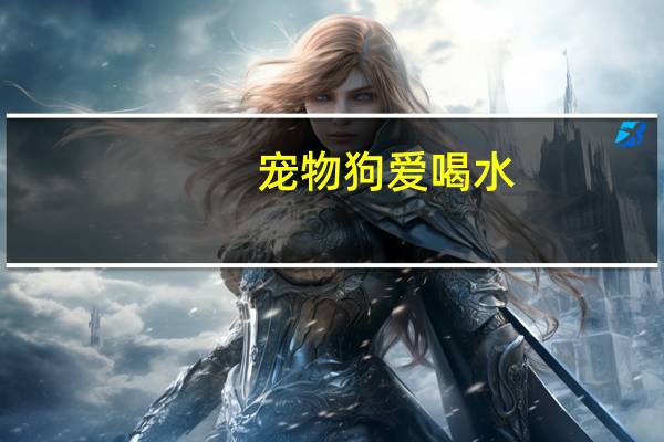 宠物狗爱喝水