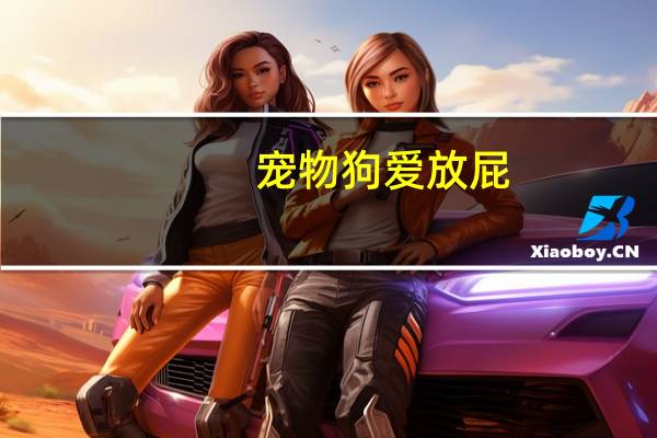 宠物狗爱放屁