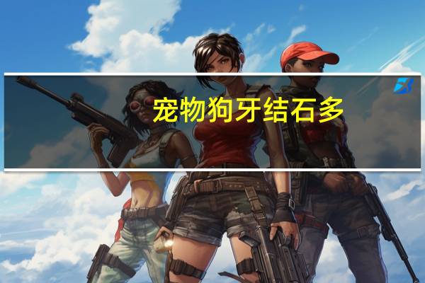 宠物狗牙结石多