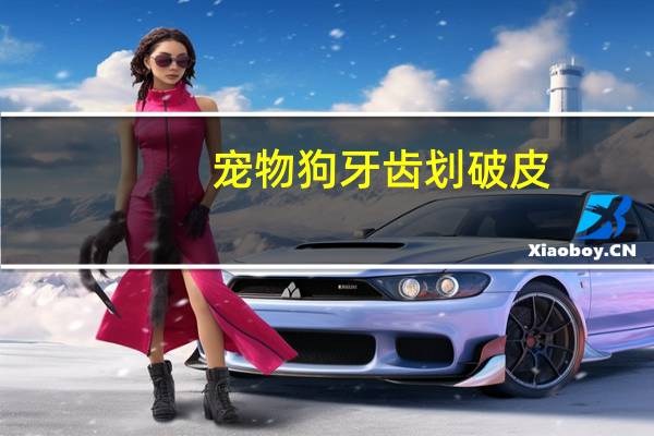 宠物狗牙齿划破皮