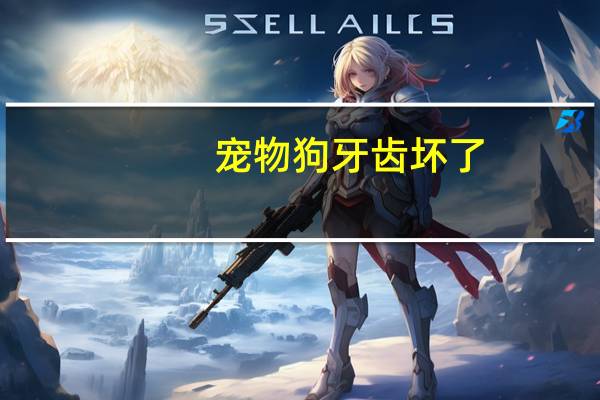宠物狗牙齿坏了