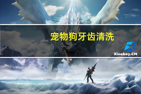 宠物狗牙齿清洗