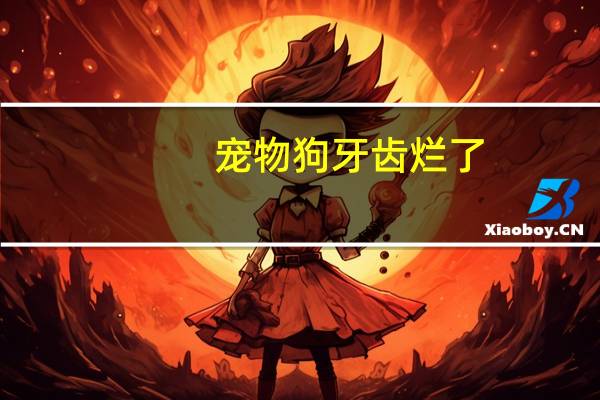 宠物狗牙齿烂了