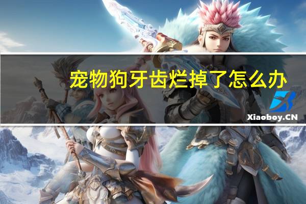 宠物狗牙齿烂掉了怎么办