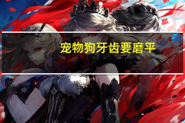 宠物狗牙齿要磨平
