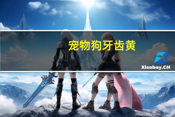 宠物狗牙齿黄