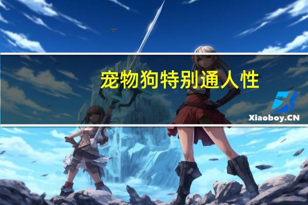宠物狗特别通人性