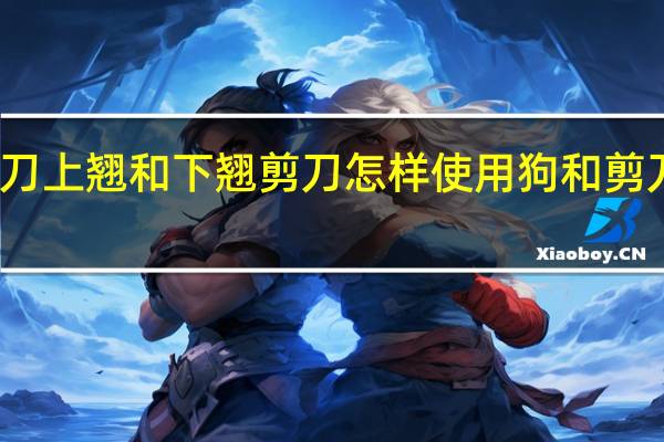 宠物狗狗剪刀上翘和下翘剪刀怎样使用 狗和剪刀的正确使用方法