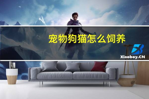 宠物狗猫怎么饲养