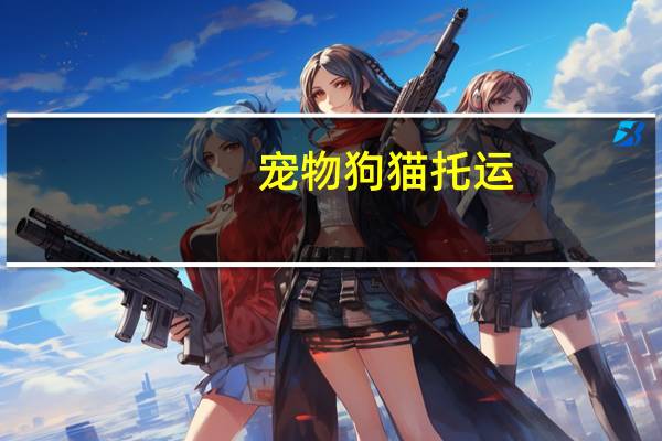 宠物狗猫托运