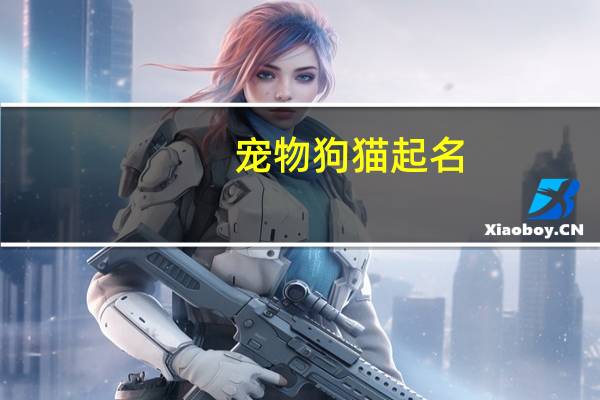 宠物狗猫起名