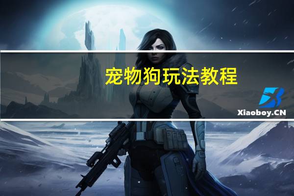宠物狗玩法教程