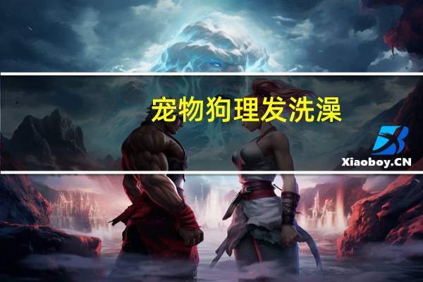 宠物狗理发洗澡