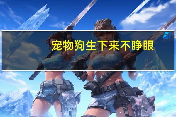 宠物狗生下来不睁眼
