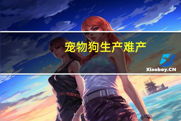 宠物狗生产难产