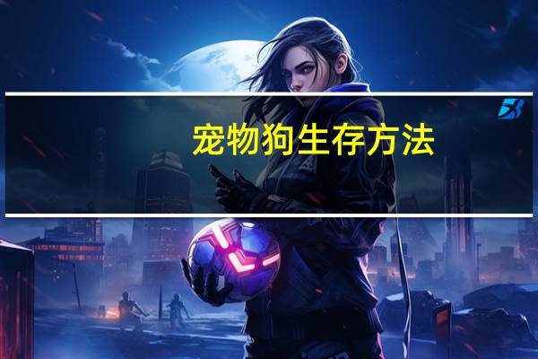 宠物狗生存方法