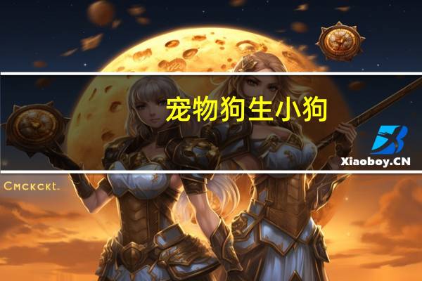 宠物狗生小狗