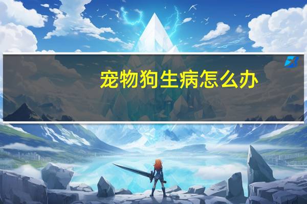 宠物狗生病怎么办