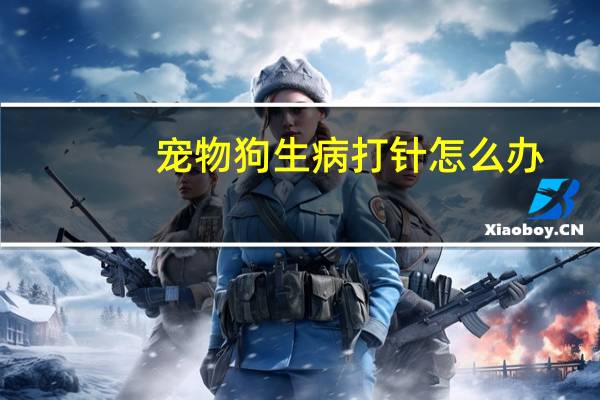 宠物狗生病打针怎么办
