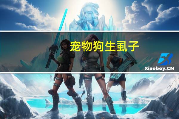 宠物狗生虱子